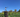 When Wine Meets Selfica: The Falzari Winery Experiment