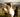 Healing Horses with Selfica: A New Path of Connection and Energy