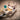 pack_creativita